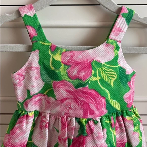 NWT Janie and Jack Baby Girl Rose Pleated Pink & Green Dress Size 3-6 Months - Picture 3 of 9